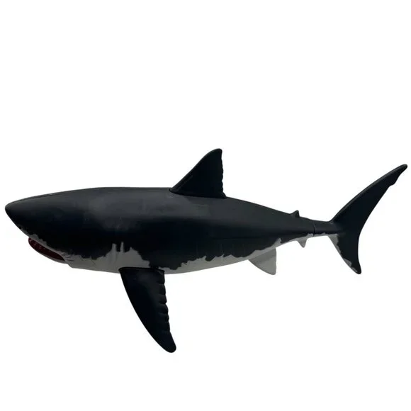 SOLD! - Picture 6 of 8